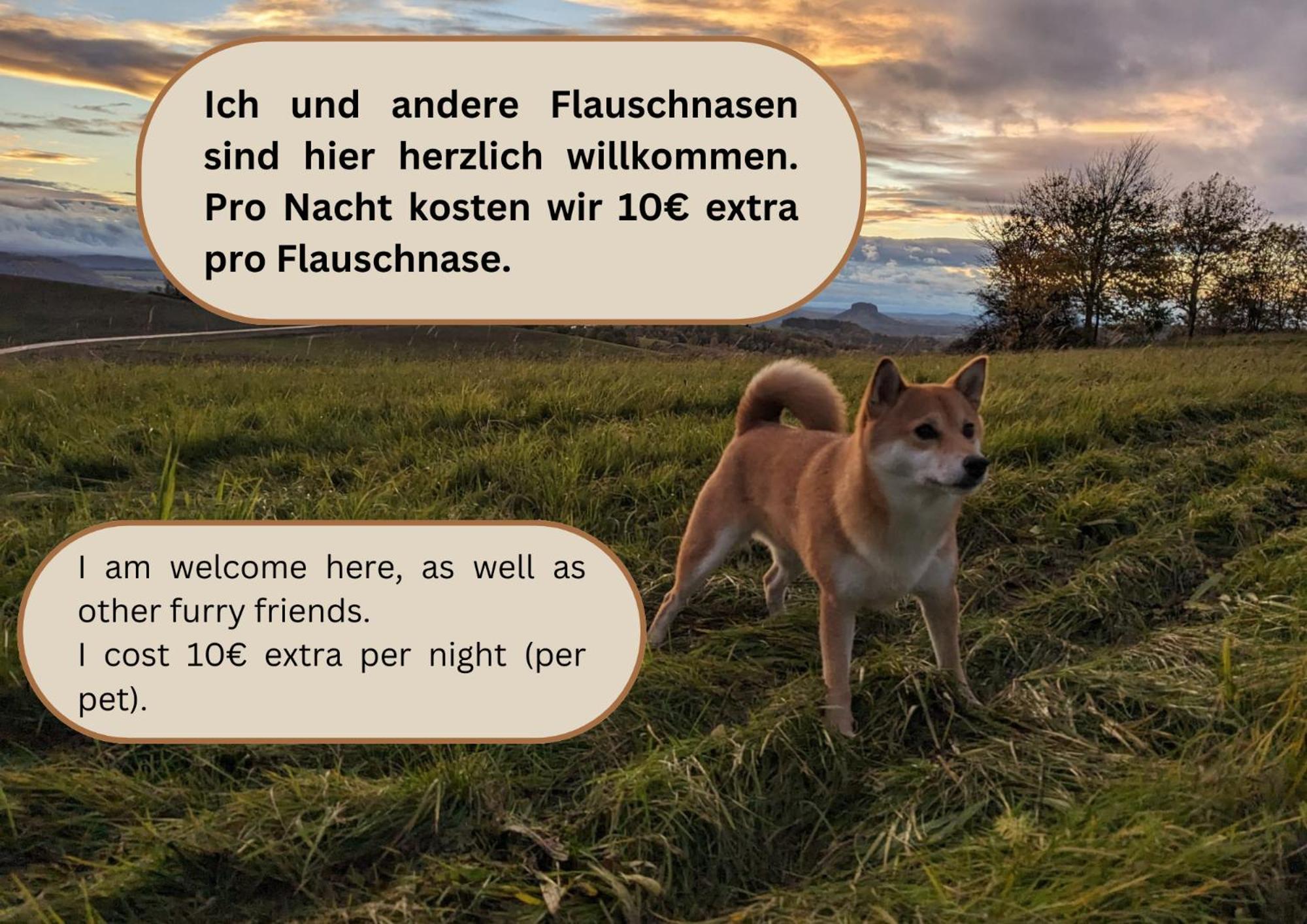 W2 - Urlaubsmagie - Im Herzen Des Elbsandsteingebirges Sebnitz Bagian luar foto